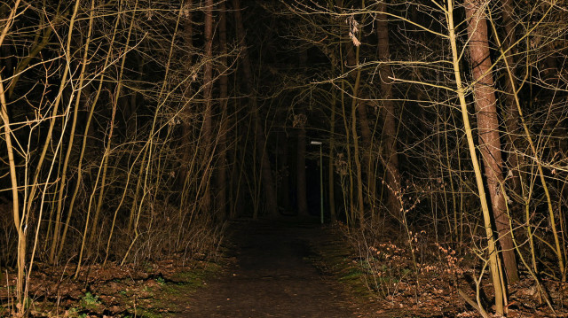 Narrative Strategy — Die steile Karriere der Erzählung